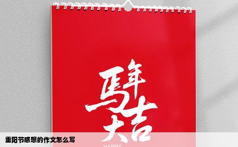 重阳节感想的作文怎么写