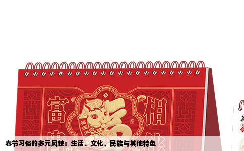 春节习俗的多元风貌：生活、文化、民族与其他特色
