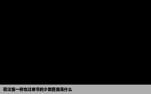 和汉族一样也过春节的少数民族是什么