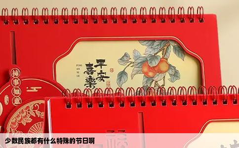 少数民族都有什么特殊的节日啊