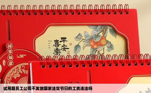 试用期员工公司不发放国家法定节日的工资违法吗