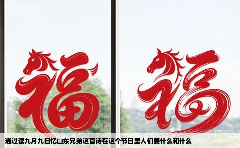 通过读九月九日忆山东兄弟这首诗在这个节日里人们要什么和什么