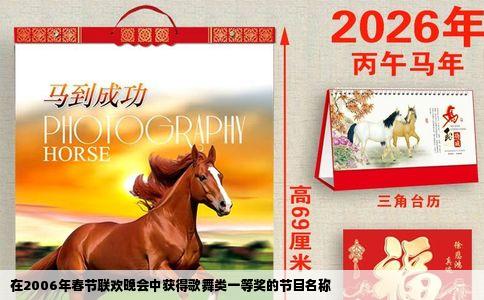 在2006年春节联欢晚会中获得歌舞类一等奖的节目名称